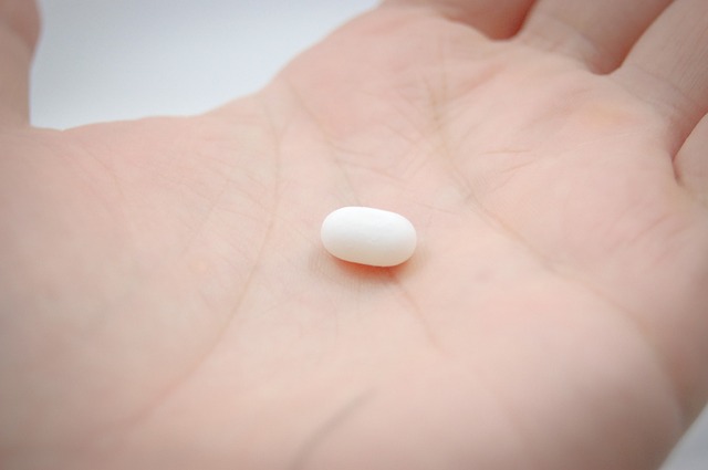Lyme Disease, What Do Antibiotics Do