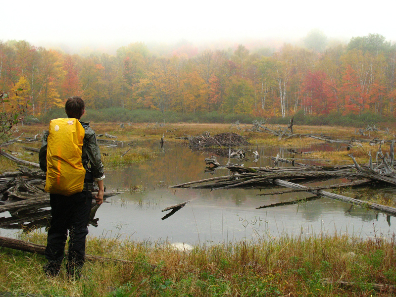 On The Lookout For Ticks — Lyme Disease