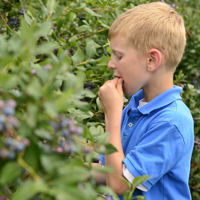 Autism Risk And Naturopathic Therapies